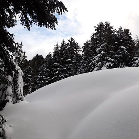 阿克斯莱泰尔姆Pyrenees - Le Nid D'Ax公寓 外观 照片