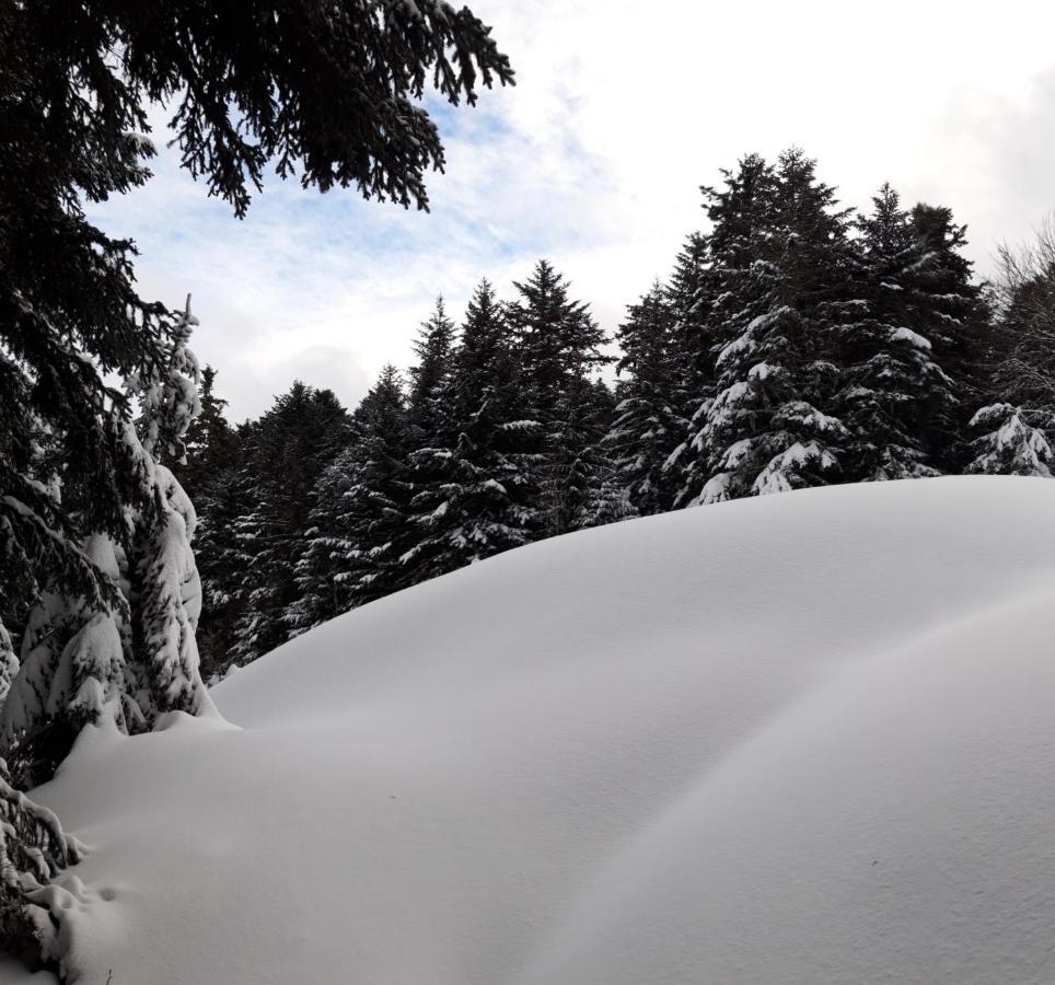 阿克斯莱泰尔姆Pyrenees - Le Nid D'Ax公寓 外观 照片